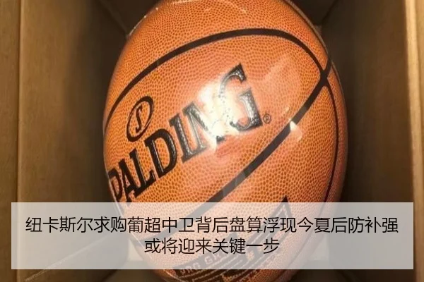 纽卡斯尔求购葡超中卫背后盘算浮现今夏后防补强或将迎来关键一步